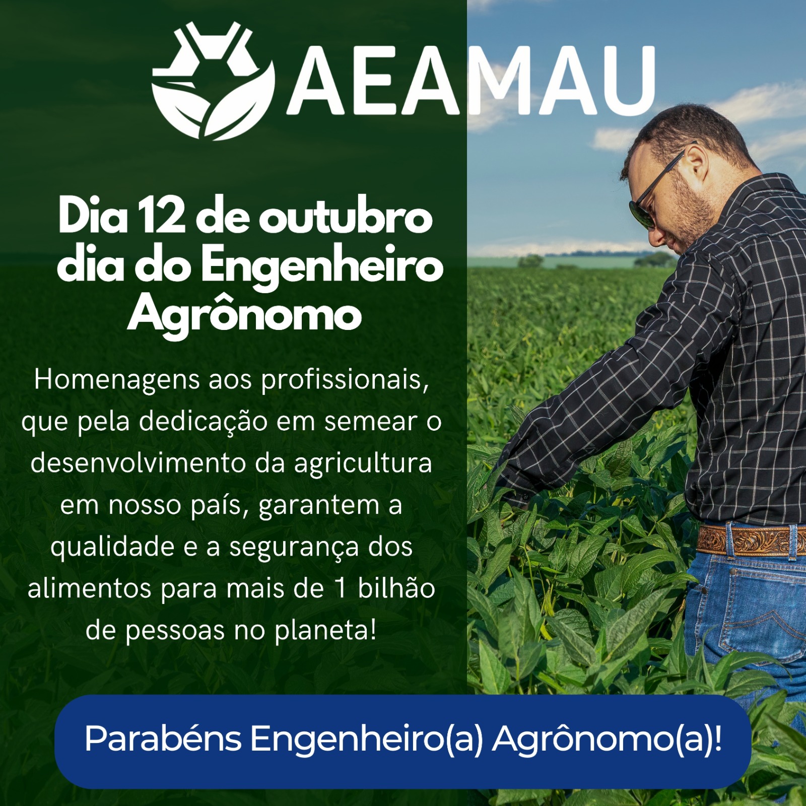 AEAMAU